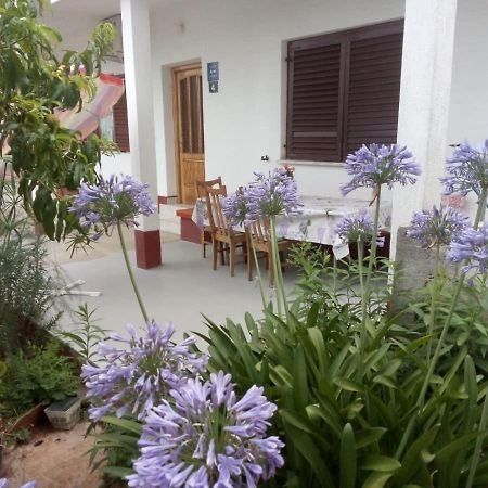 Comfort Apartment On The Beach كالي المظهر الخارجي الصورة